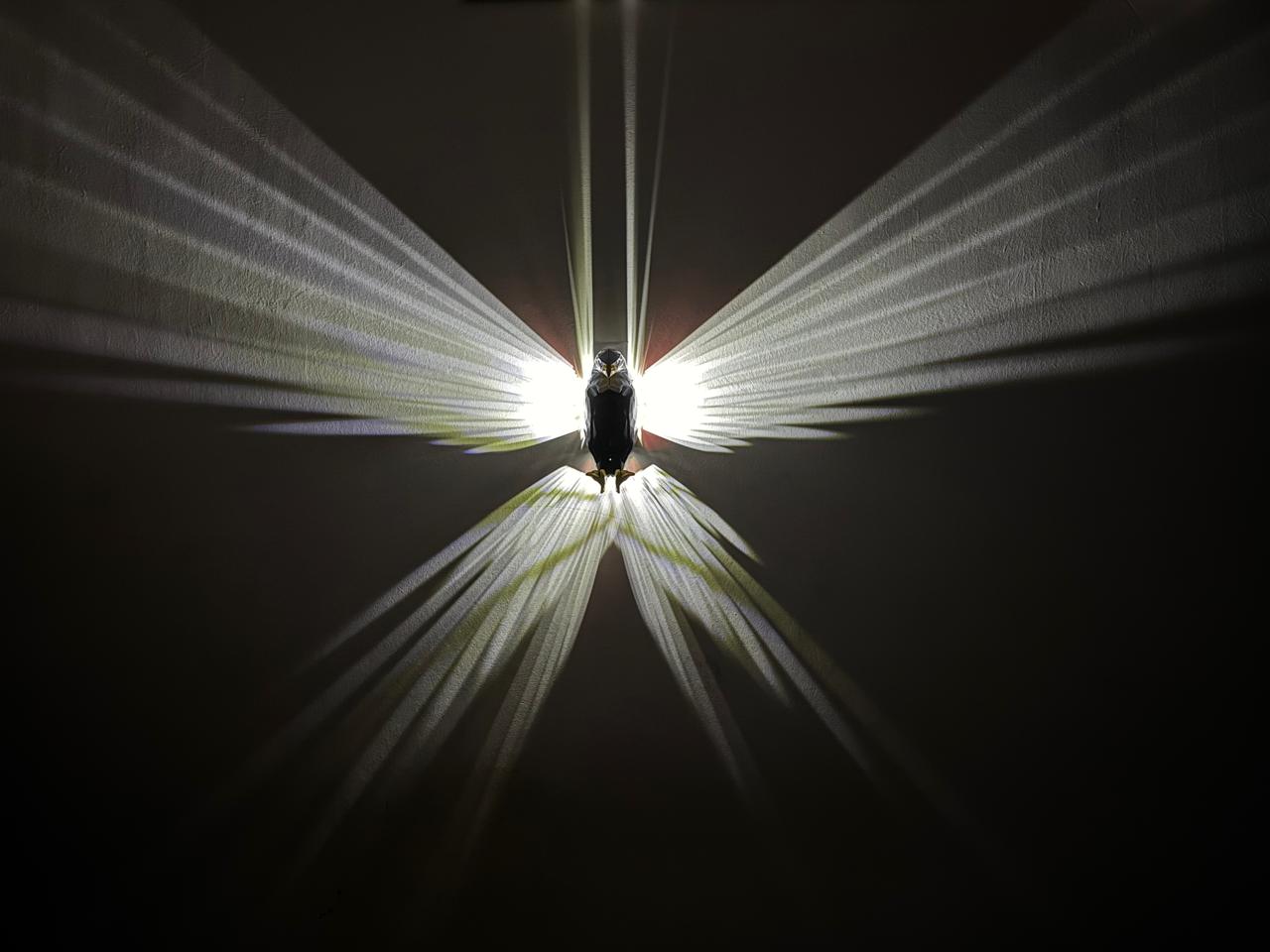 Eagle LED Wall Lamp