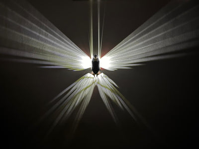 Eagle LED Wall Lamp